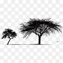 大树剪影-空若网 大树剪影-空若网