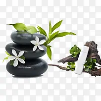 石头和树干-空若网 石头和树干-空若网