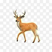 ��ͨ�ɰ�С����װ�ζ���ͷ��-������