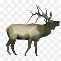 卡通可爱小动物装饰动物头像-空若网 卡通可爱小动物装饰动物头像-空若网