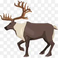 卡通可爱小动物装饰动物头像-空若网 卡通可爱小动物装饰动物头像-空若网