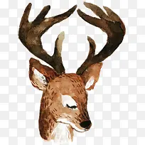 卡通可爱小动物装饰动物头像-空若网 卡通可爱小动物装饰动物头像-空若网