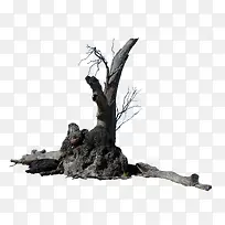 ʯͷÉϵÄÊ÷ľ-¿ÕÈôÍø ʯͷÉϵÄÊ÷ľ-¿ÕÈôÍø