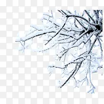 挂满雪花的树枝-空若网 挂满雪花的树枝-空若网