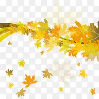 ����Ψ����Ҷ��֦-������