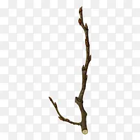 手绘树枝-空若网 手绘树枝-空若网