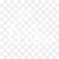 白色树叶-空若网 白色树叶-空若网