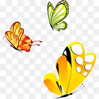 蝴蝶png矢量素材-空若网 蝴蝶png矢量素材-空若网