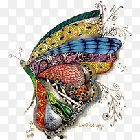 七彩蝴蝶-空若网 七彩蝴蝶-空若网