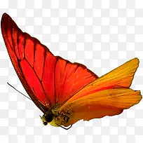 ���� ���� �걾-������