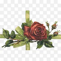 �ֻ滨���زĸ���ͼƬ-������