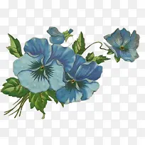 ��ͨ���ز��ֻ�ͼƬ  ��ͨ�ֻ�-������