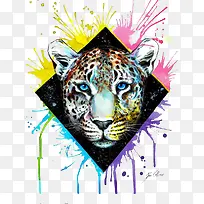 美洲豹-空若网 美洲豹-空若网