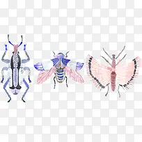 手绘水彩小清新昆虫-空若网 手绘水彩小清新昆虫-空若网
