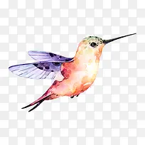 ˮ���ֻ���ŵ����-������