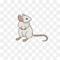 卡通可爱小动物装饰动物头像-空若网 卡通可爱小动物装饰动物头像-空若网