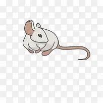 ��ͨ�ɰ�С����װ�ζ���ͷ��-������