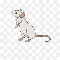 卡通可爱小动物装饰动物头像-空若网 卡通可爱小动物装饰动物头像-空若网