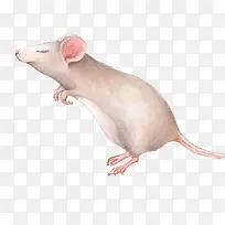 Ë®²ÊÀÏÊó-¿ÕÈôÍø Ë®²ÊÀÏÊó-¿ÕÈôÍø