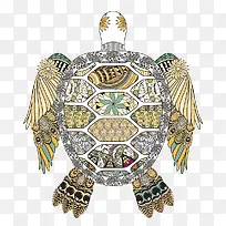 翅膀乌龟-空若网 翅膀乌龟-空若网