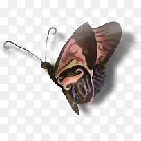 ¿¨Í¨²Ê»æºûµû-¿ÕÈôÍø ¿¨Í¨²Ê»æºûµû-¿ÕÈôÍø