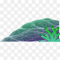 海洋生物海底海草-空若网 海洋生物海底海草-空若网