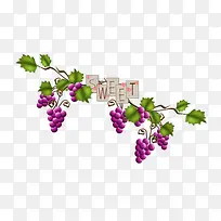 SWEET-空若网 SWEET-空若网