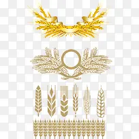 金色小麦草-空若网 金色小麦草-空若网