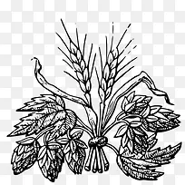 手绘小麦草-空若网 手绘小麦草-空若网