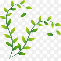 绿叶-空若网 绿叶-空若网