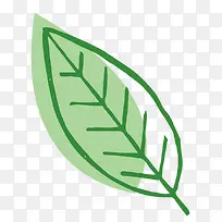 线条树叶-空若网 线条树叶-空若网