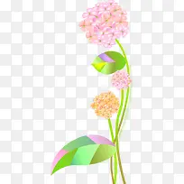 手绘绣球花-空若网 手绘绣球花-空若网