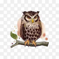 ��ͨ�ֻ�ʸ��èͷӥ-������