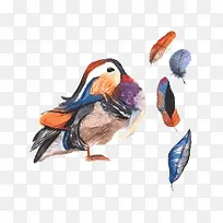 卡通手绘水彩鸳鸯鸟-空若网 卡通手绘水彩鸳鸯鸟-空若网