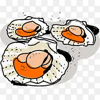 新鲜肉质矢量扇贝-空若网 新鲜肉质矢量扇贝-空若网