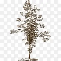 ϸ��������-������