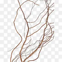 С֦�����Ƶ���֦-������