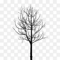 长条缠绕的树枝-空若网 长条缠绕的树枝-空若网