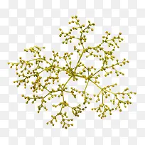 树枝png图片-空若网 树枝png图片-空若网