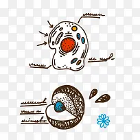 �ֻ滭�����ѧ��ѧ-������