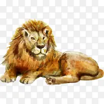 ˮ�ʶ����ɫʨ��-������