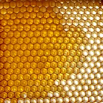 蜂巢背景摄影-空若网 蜂巢背景摄影-空若网