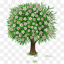 ��ͨ�����ʻ�����-������