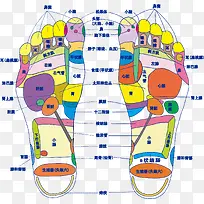卡通足底穴位设计-空若网 卡通足底穴位设计-空若网