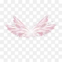 粉色翅膀-空若网 粉色翅膀-空若网