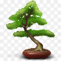 猴面包树humano2-空若网 猴面包树humano2-空若网