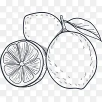 夏季水果手绘橙子-空若网 夏季水果手绘橙子-空若网