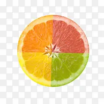 彩色橙子-空若网 彩色橙子-空若网