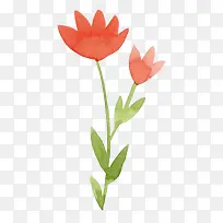 水彩卡通橘色花朵-空若网 水彩卡通橘色花朵-空若网