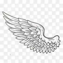 手绘翅膀-空若网 手绘翅膀-空若网